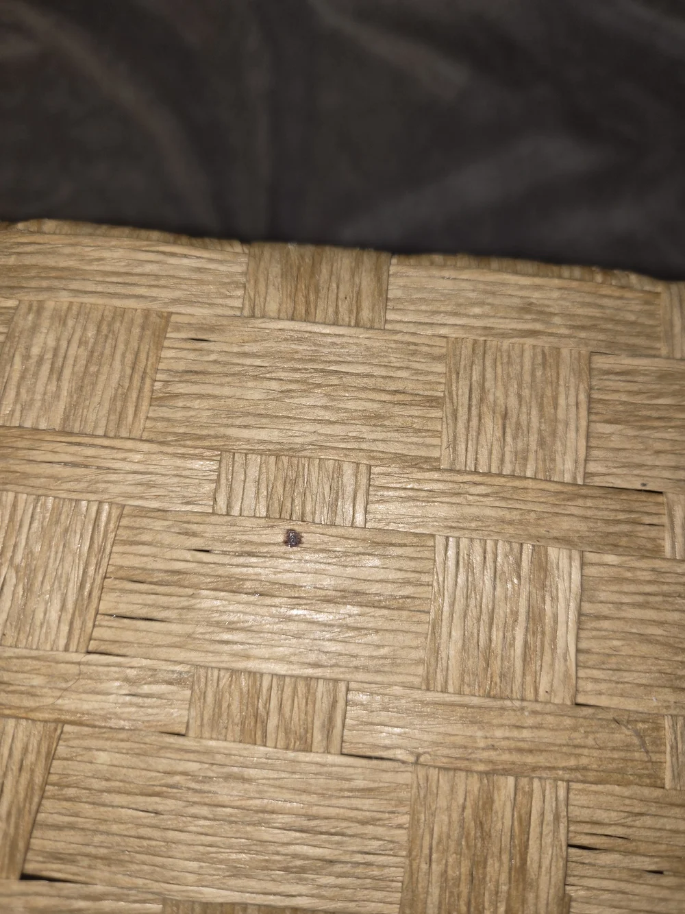 Woven Natural Storage Basket - Neutral Tan